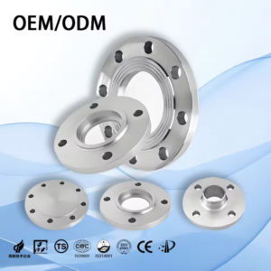 304/316L Industrial Grade Forged Stainless Steel Flange